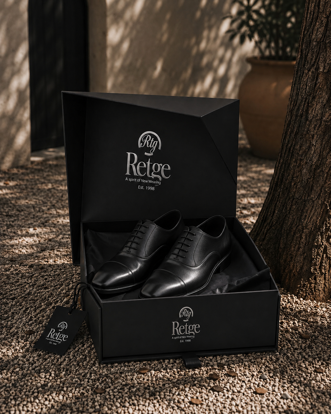 shoes classic